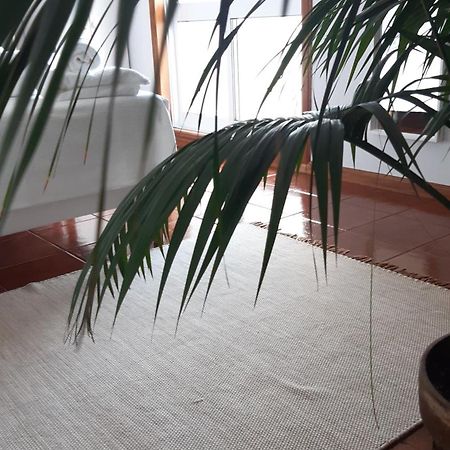 Sun & Sand Guesthouse Esposende Bagian luar foto